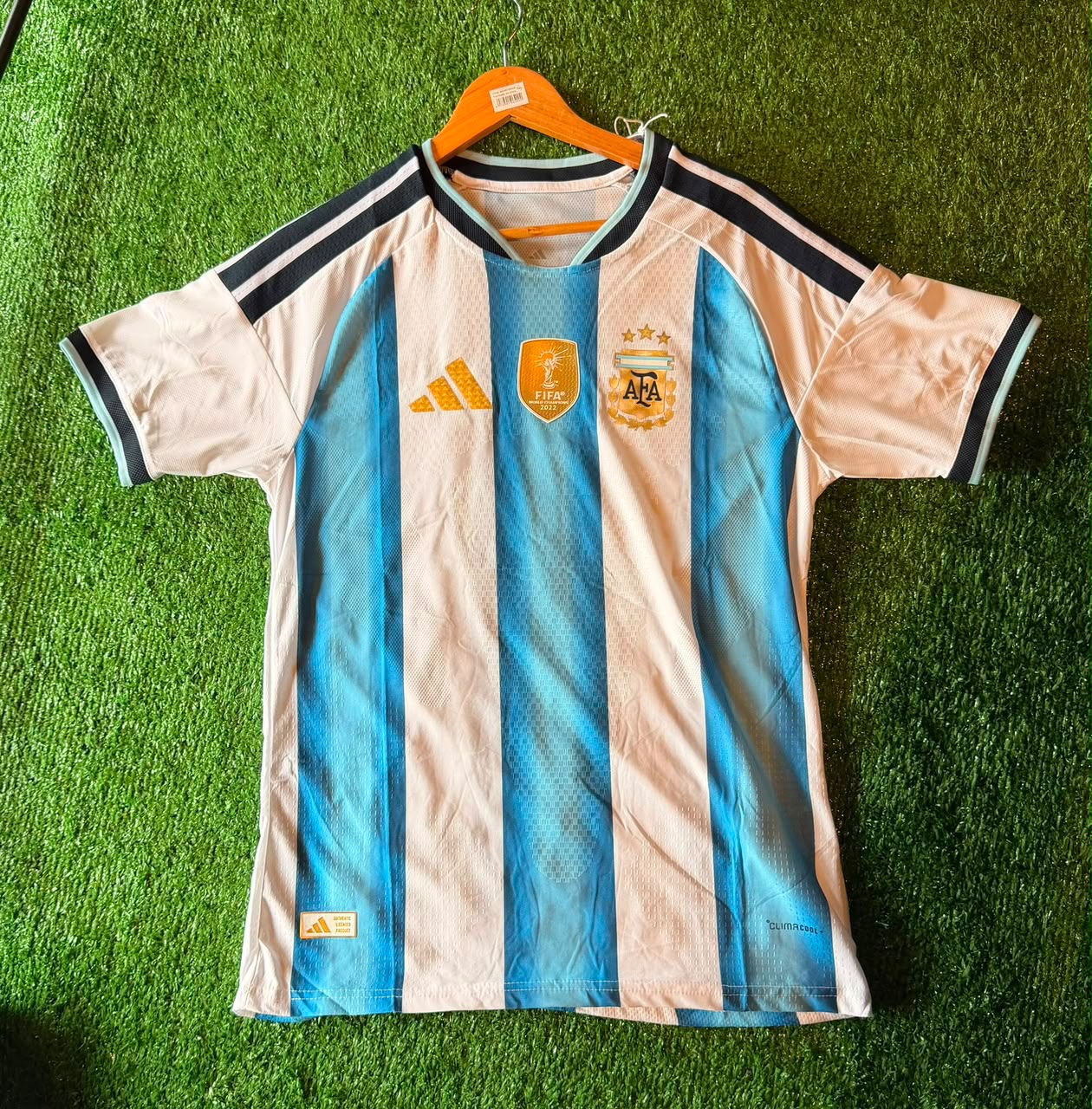 Camiseta Argentina · celeste y blanca · sin número